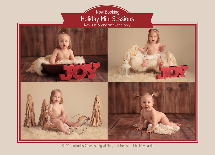 santa clarita holiday mini sessions