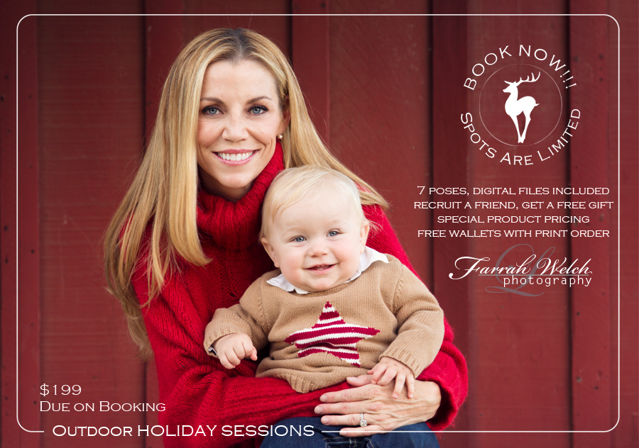 santa clarita holiday mini sessions