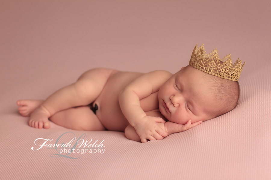 santa clarita newborn photographer