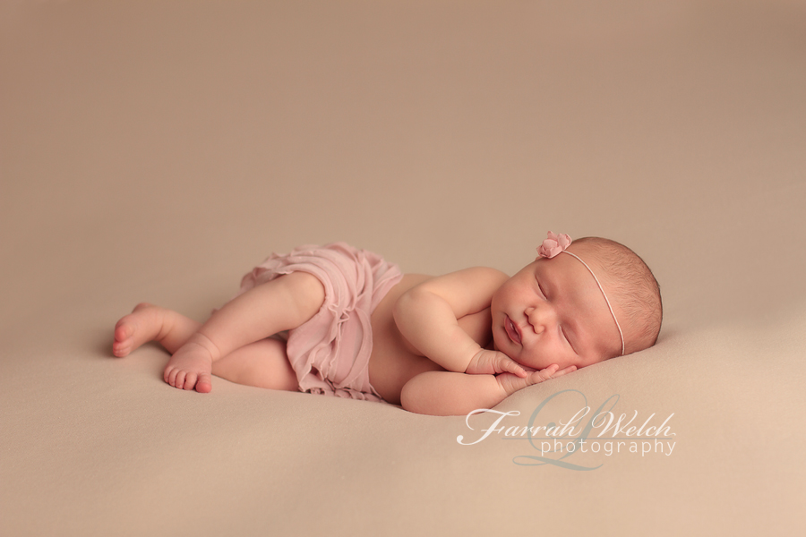 santa clarita newborn photographer