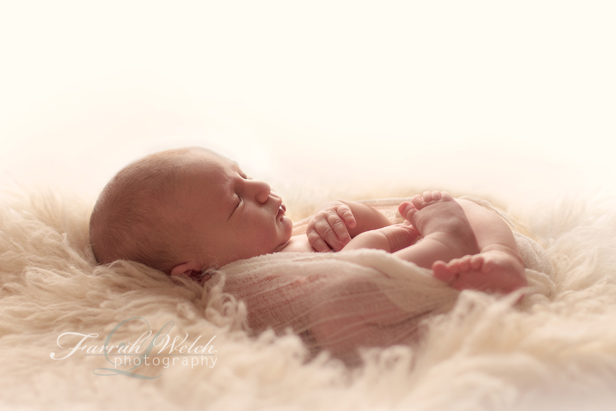 santa clarita newborn photographer