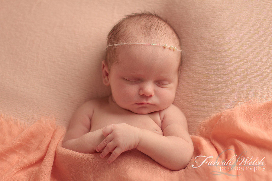 santa clarita newborn photographer - catalina