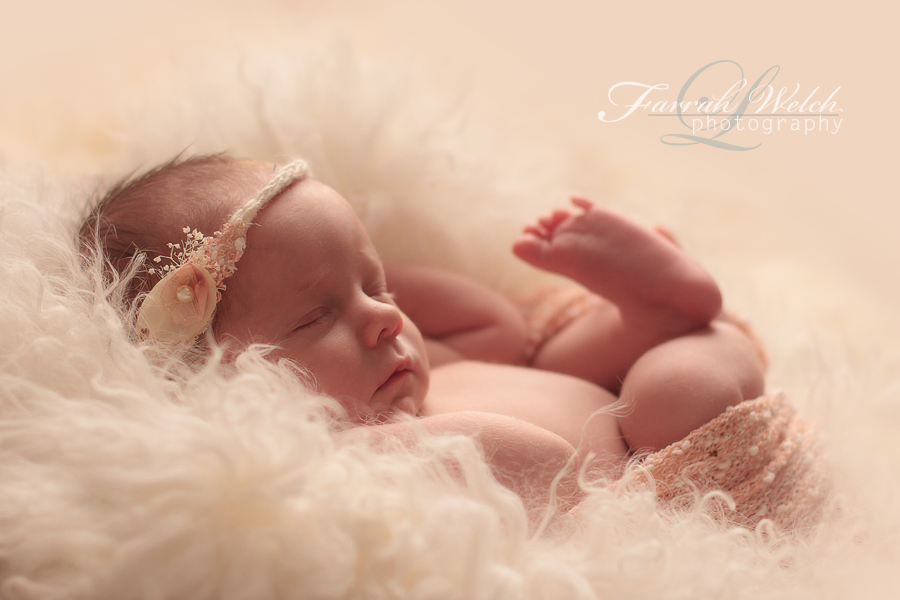 santa clarita newborn photographer - catalina