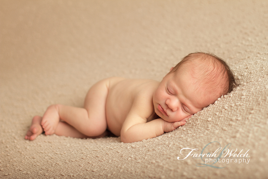 santa clarita newborn photographer