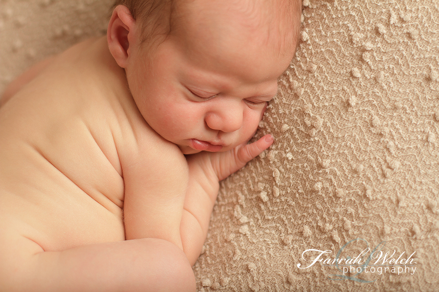 santa clarita newborn photographer