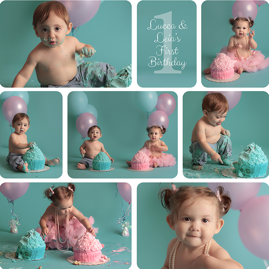 Santa Clarita Cake Smash Photographer