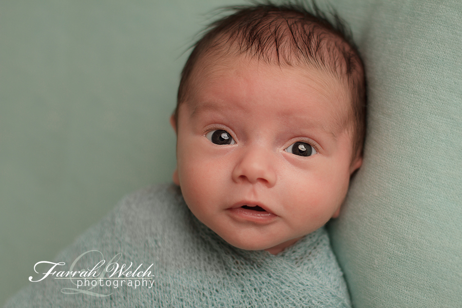 los angeles newborn photographer