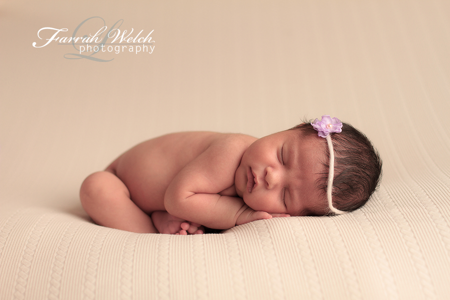 santa clarita newborn photographer