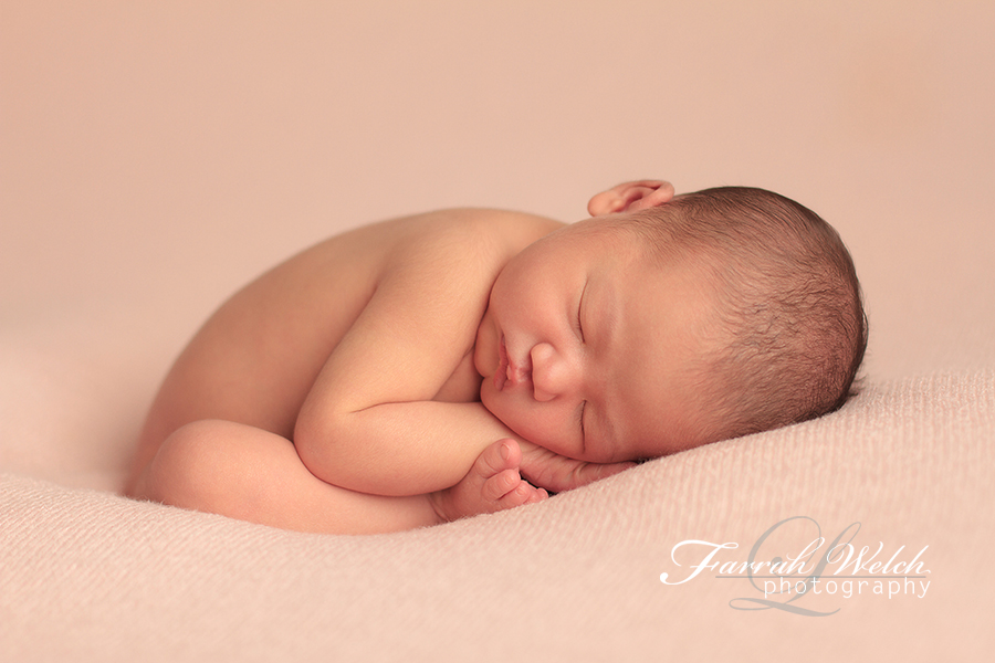 santa clarita newborn photographer