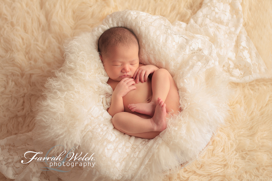 santa clarita newborn photographer