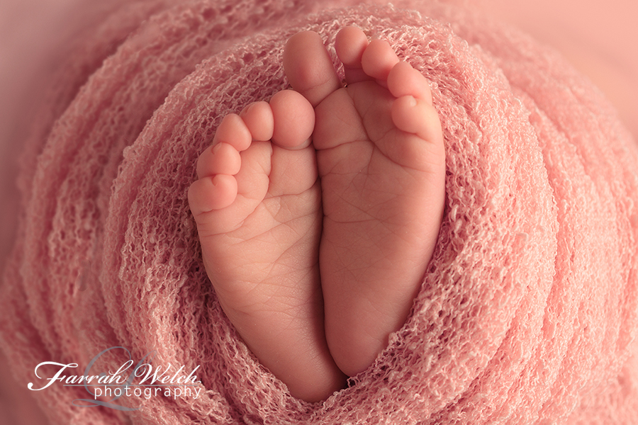 los angeles newborn photographer