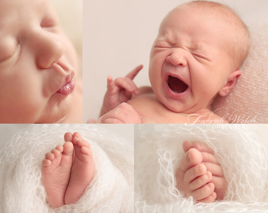 Kaylee newborn photos - Santa Clarita Newborn Photographer