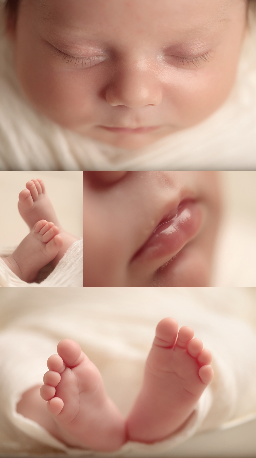 Santa Clarita Newborn Photographer